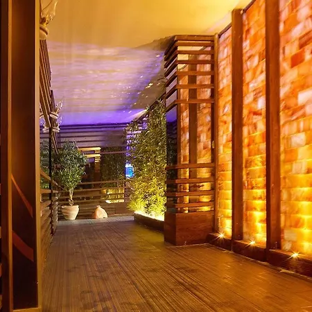 Wyndham فندق 5*